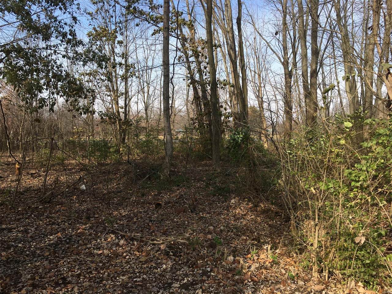 0 Virginia Avenue - Photo 1