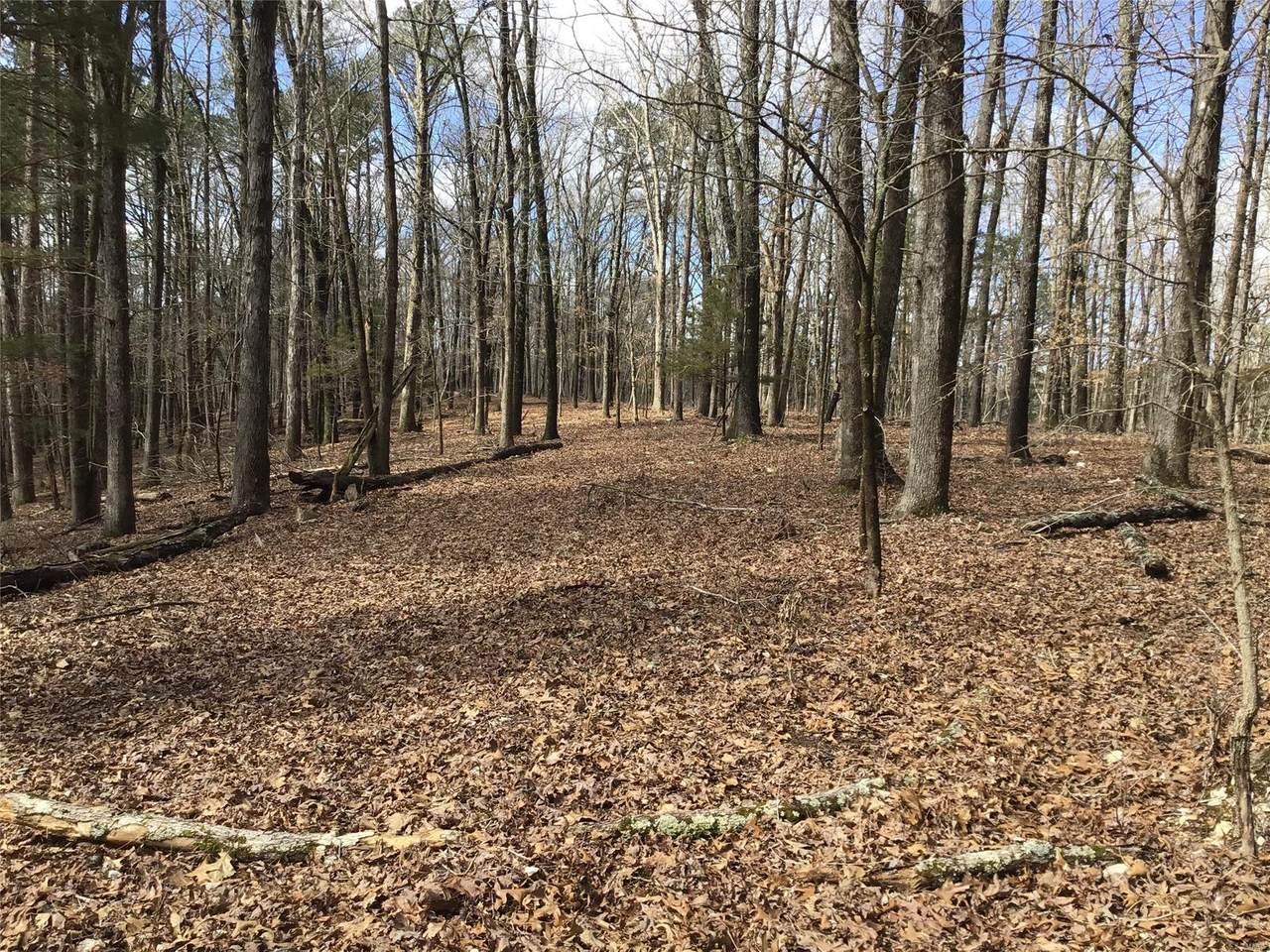 0 Pine Ridge Road - Photo 1