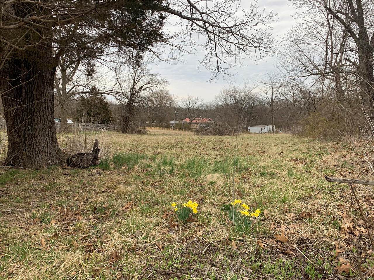 10136 Holcombe - Photo 1