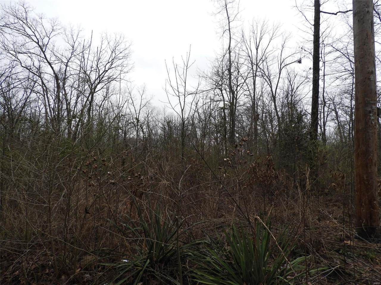 520 Mexico Drive - Photo 1