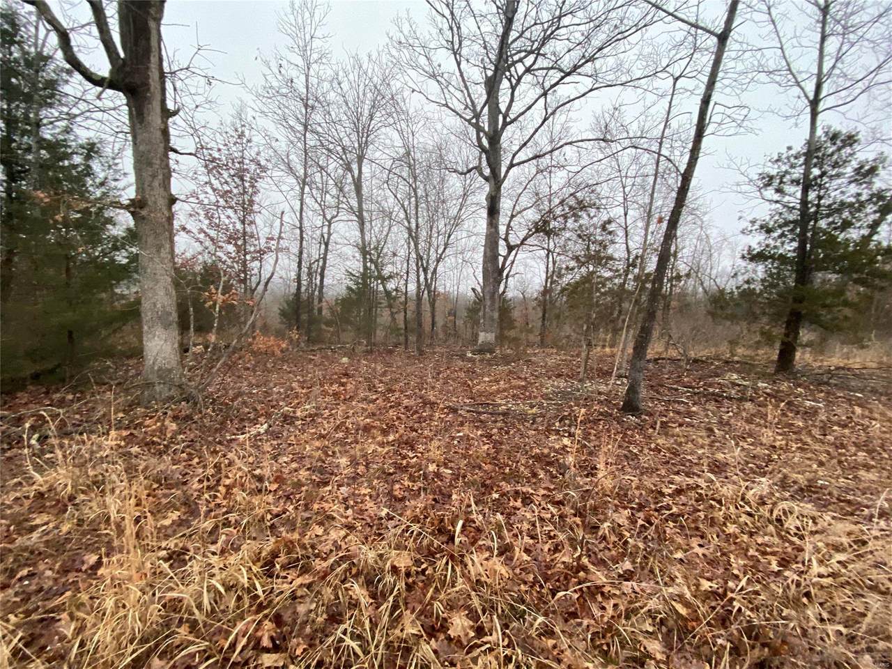 0 Kingston Rd - Photo 1
