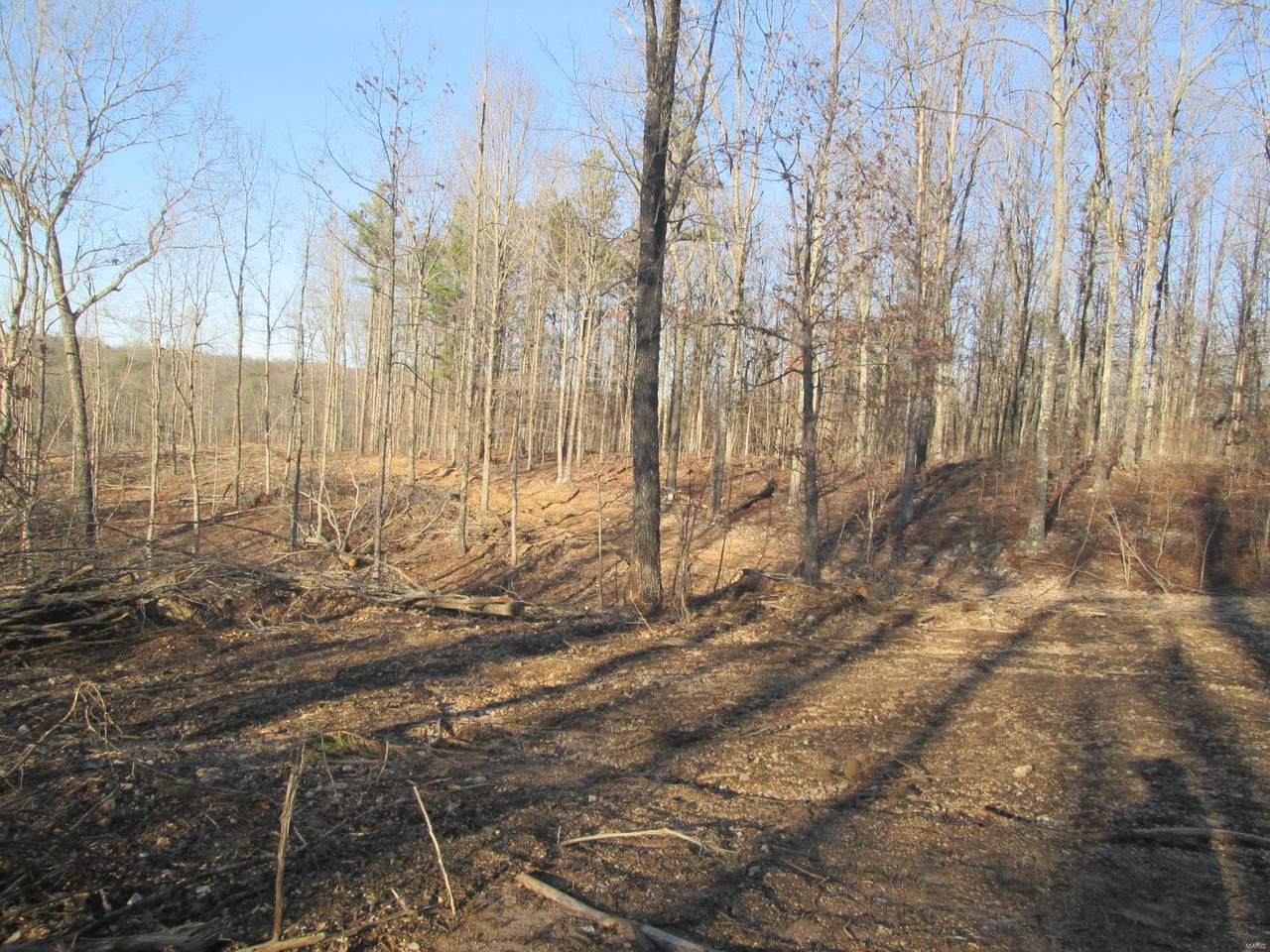 69 Pine Meadow Trail - Photo 1