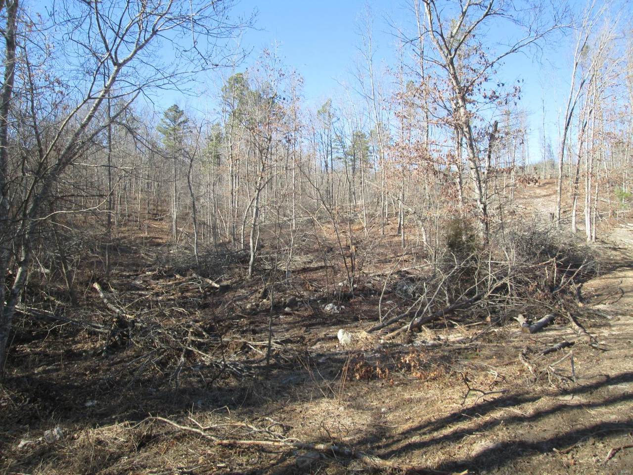 116 Big Tree Trail - Photo 1