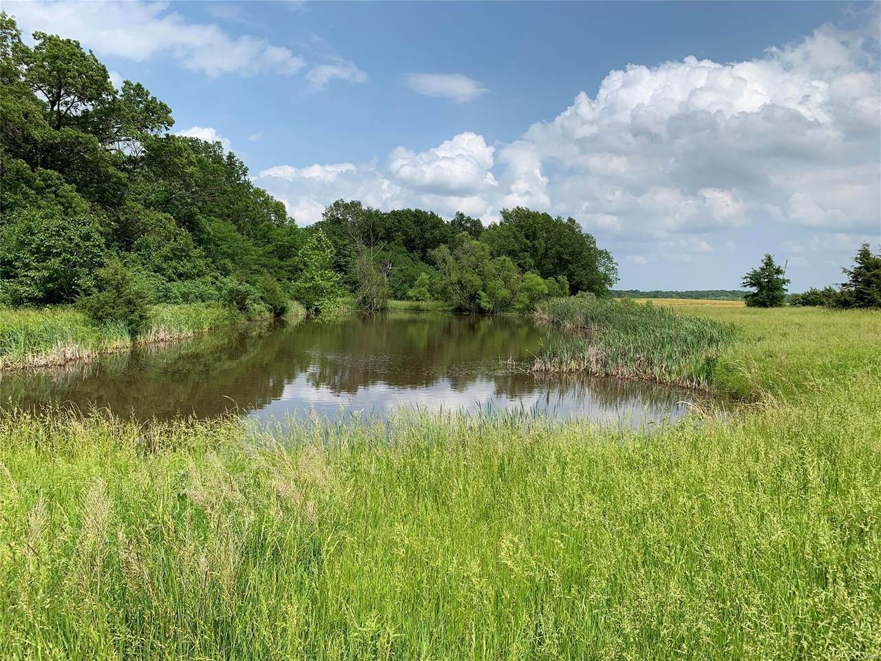 0 Pleasant Hill Rd 108.45 Ac - Photo 1