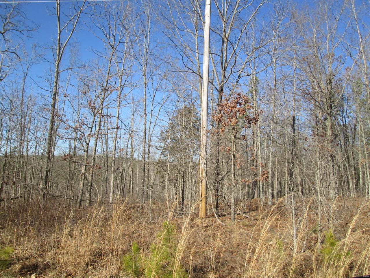 118 Heritage Trail - Photo 1