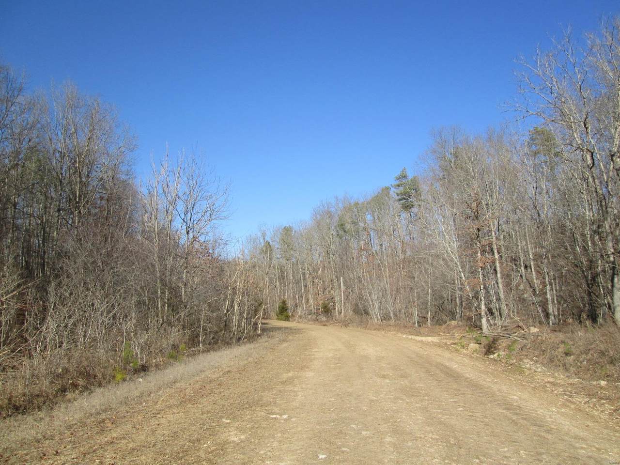 122 Big Tree Trail - Photo 1
