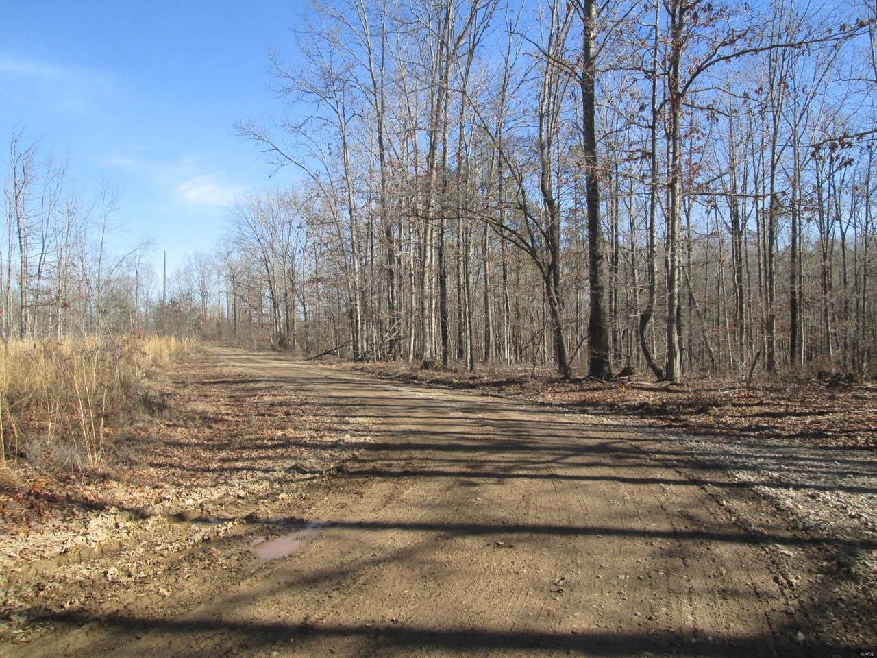 125 Ridge Crest Trail - Photo 1