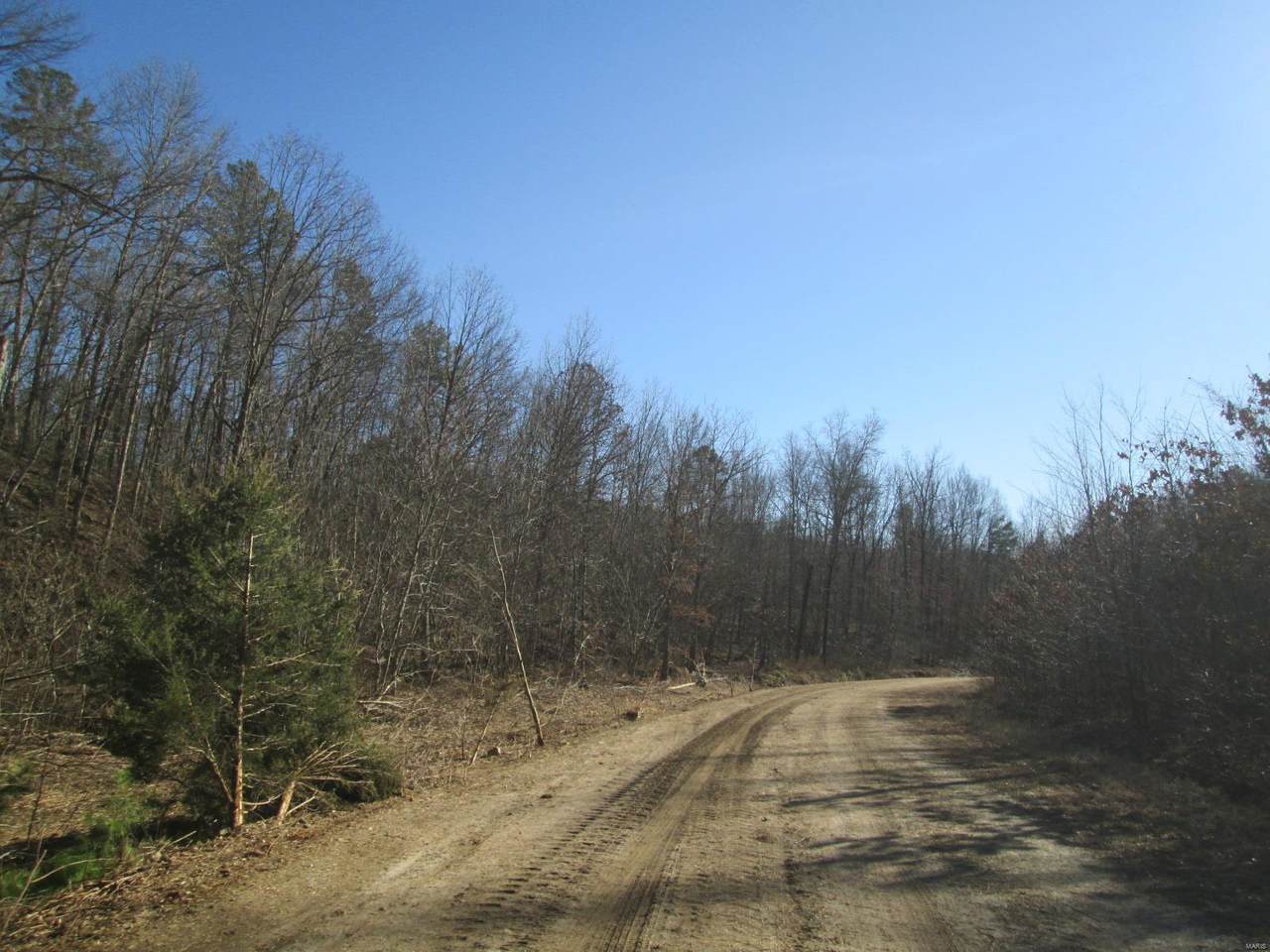 128 Percimon Trail - Photo 1