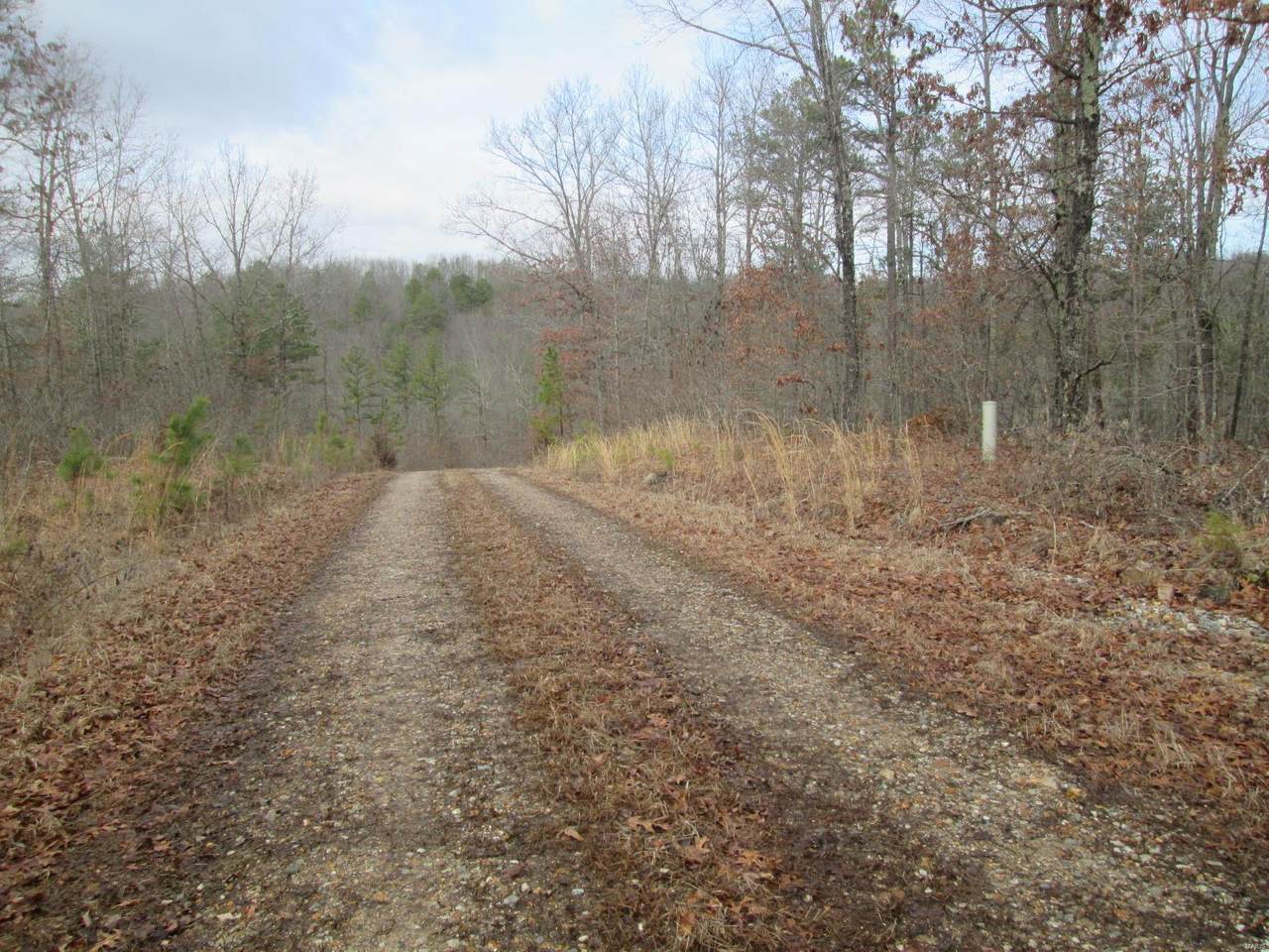 144 Golden Trail - Photo 1