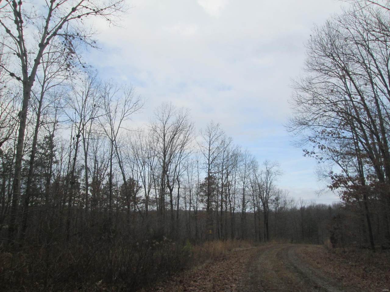 147 Golden Trail - Photo 1