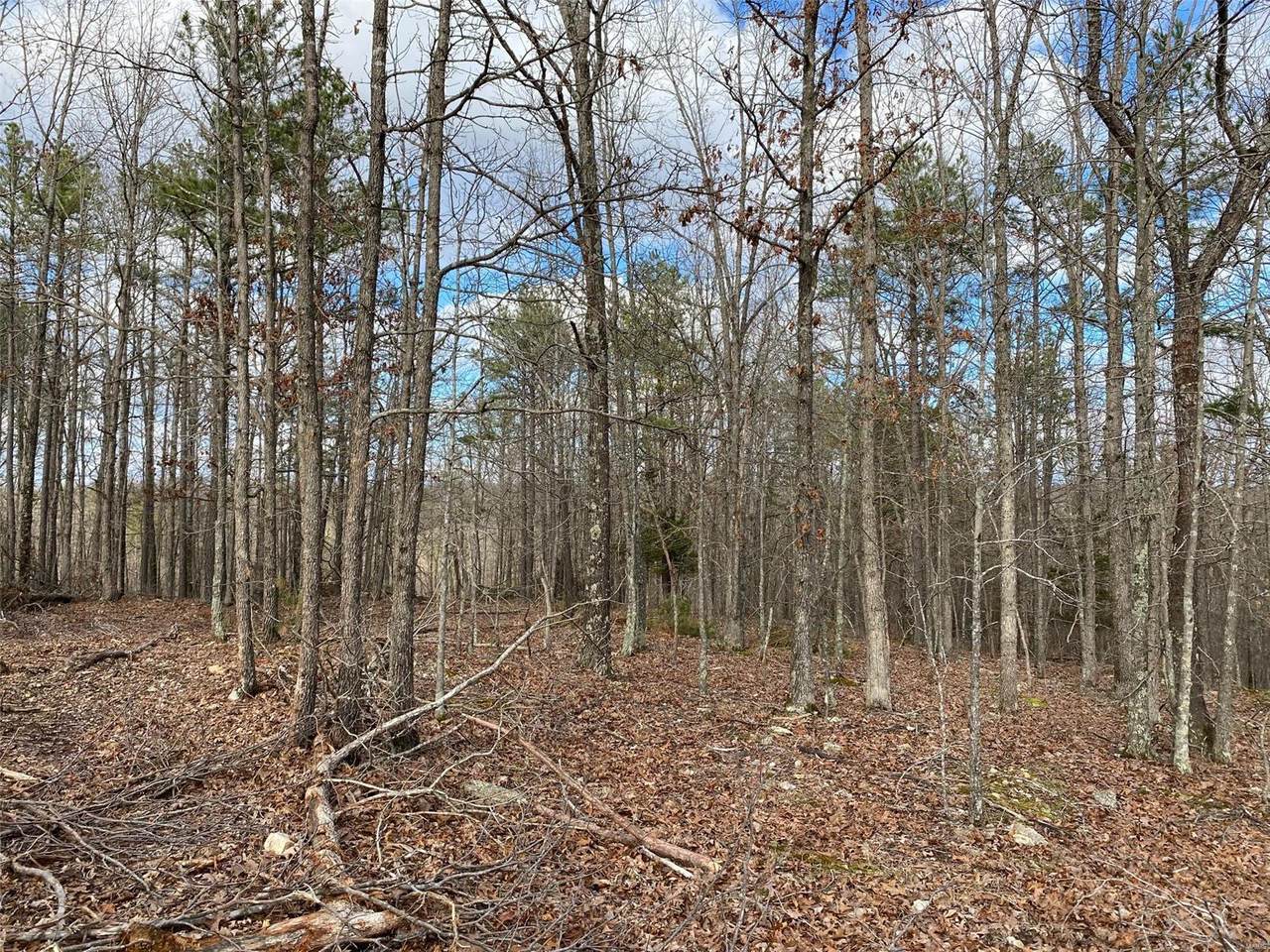 160 Pine Meadow Trail - Photo 1