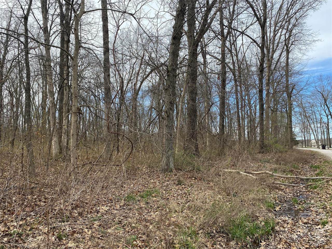 0 Hickory Drive - Photo 1