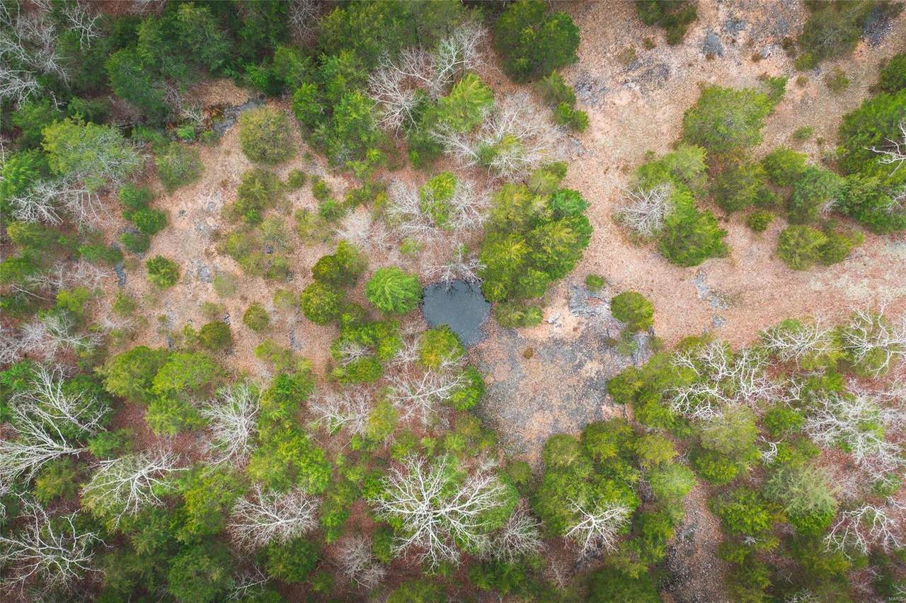 5436 Hwy 17 - Photo 1