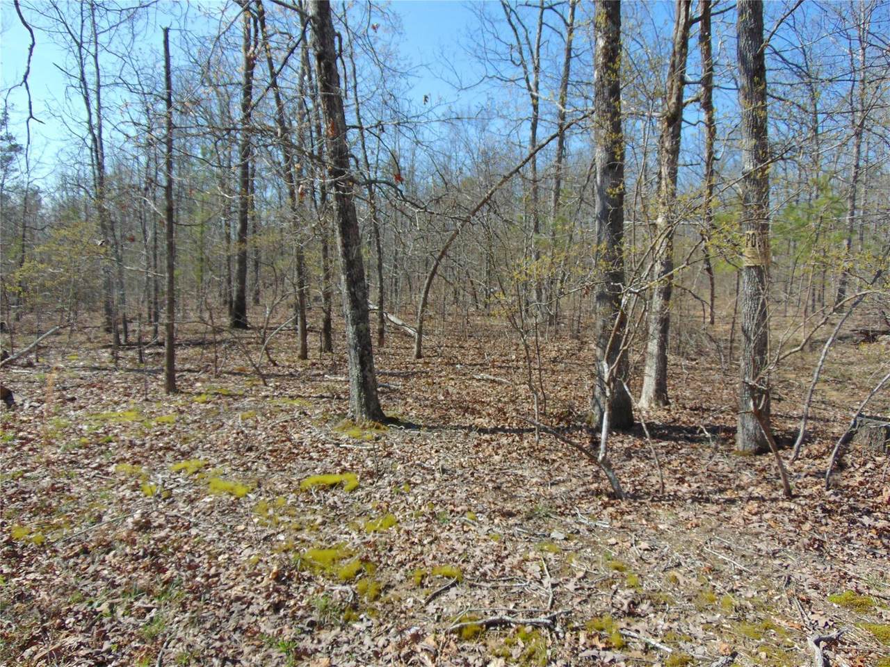 0 Tbd Co Rd 431 - Photo 1