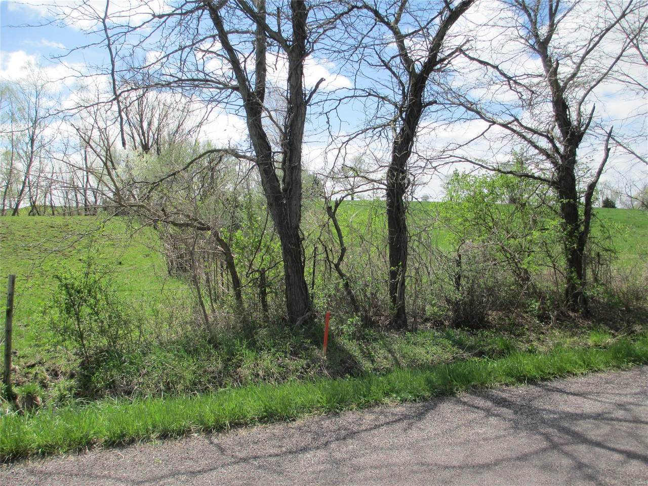 130 White Wildlife Road - Photo 1