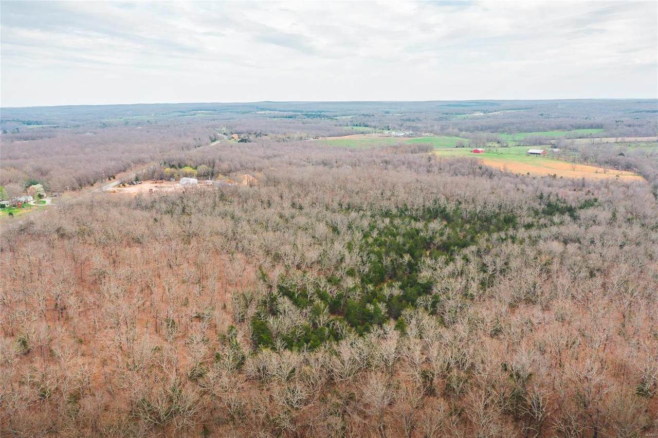 5436 Highway 17 - Photo 1