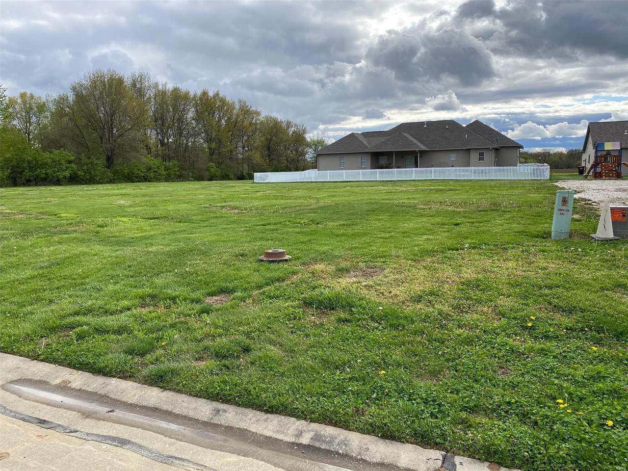 385 Gadwall - Photo 1