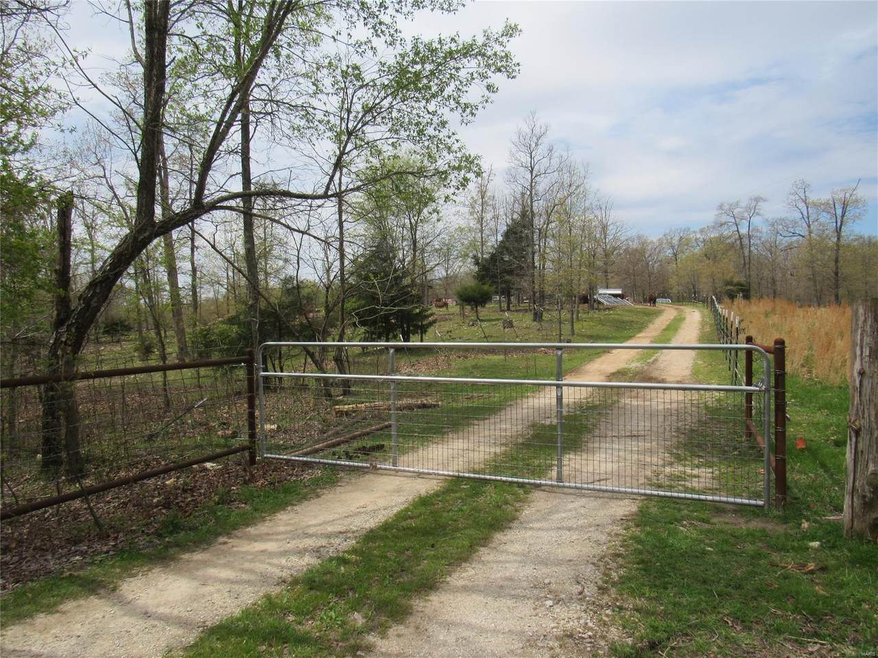 18285 Highway 19 - Photo 1