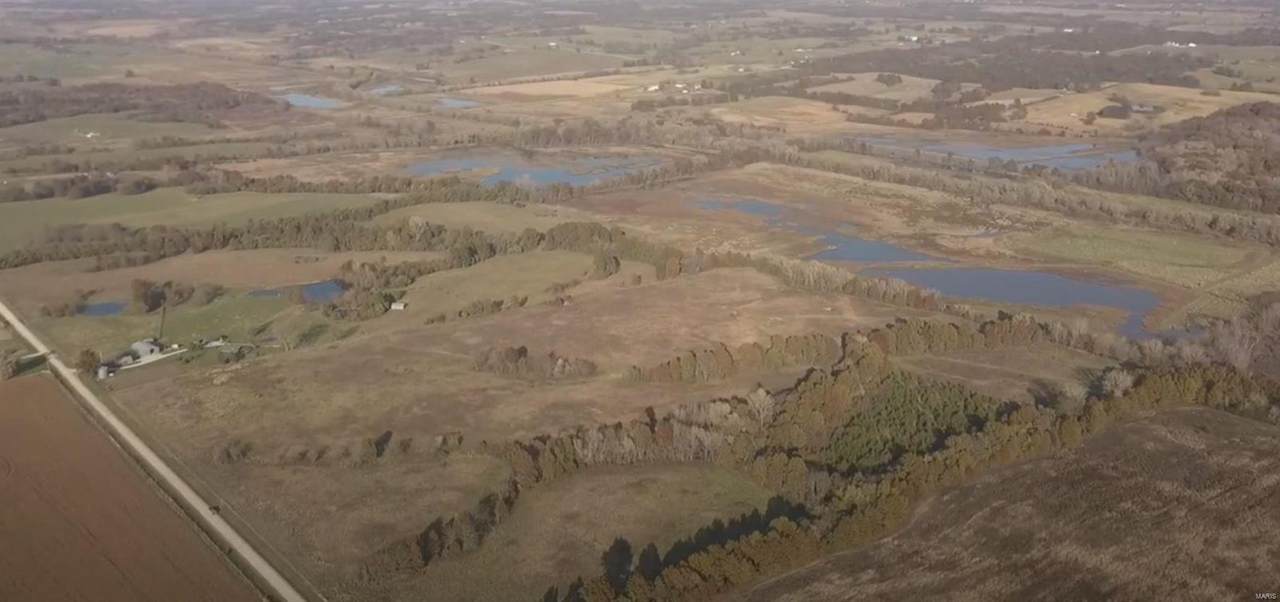 205 +/- Acres Macon County - Photo 1