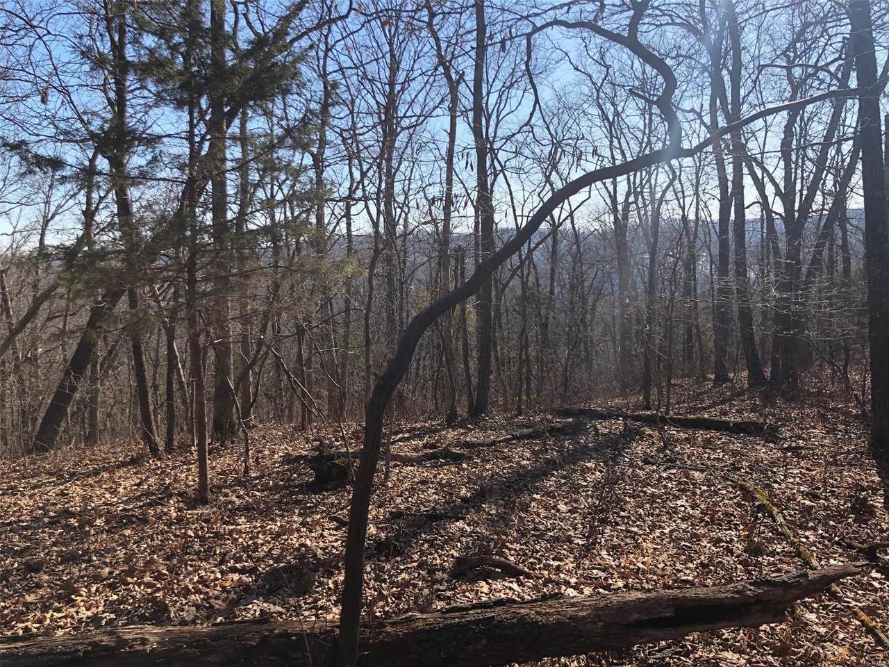 19024 Old Wild Turkey - Photo 1
