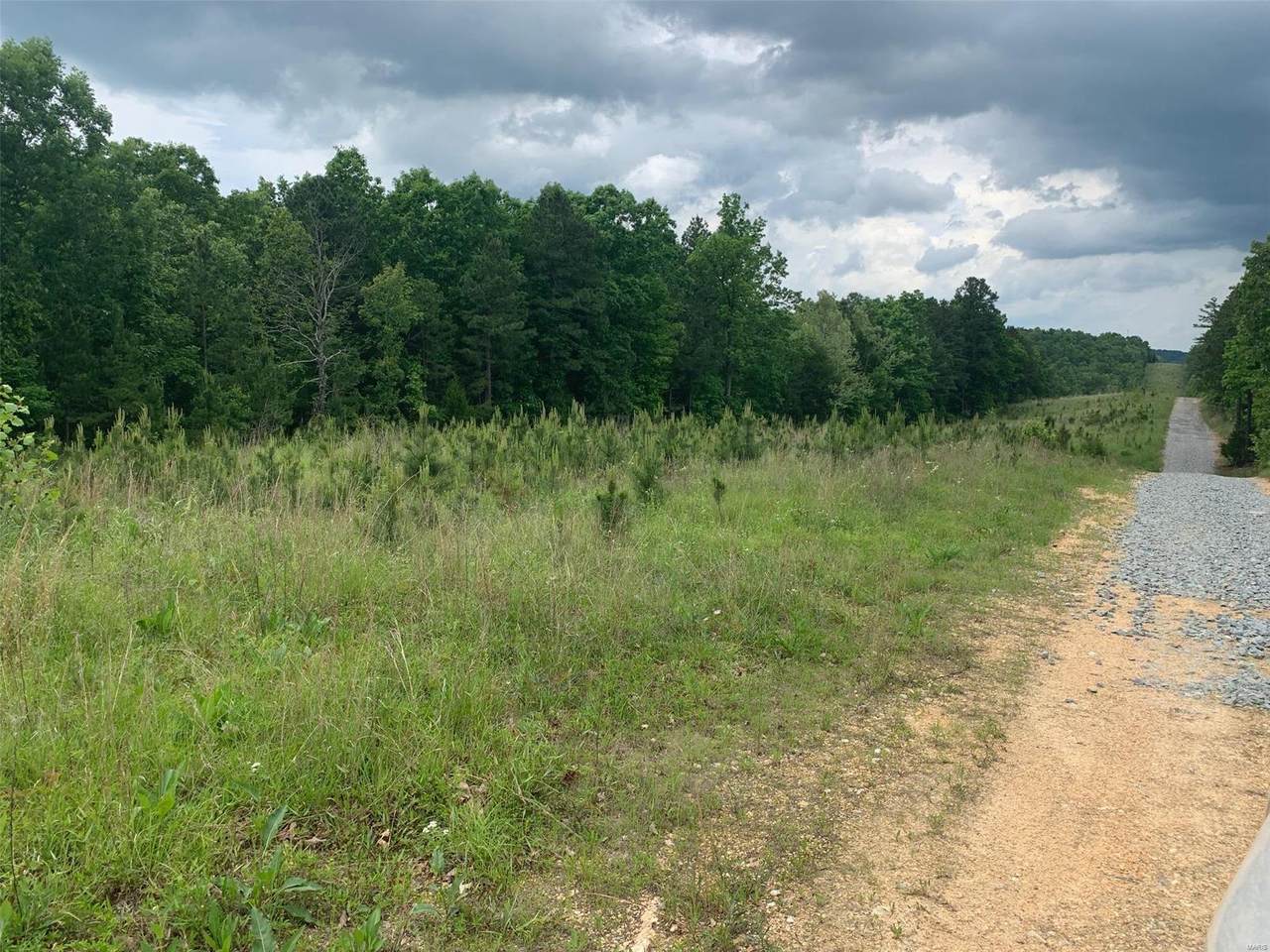 10107 S Highway 67 - Photo 1