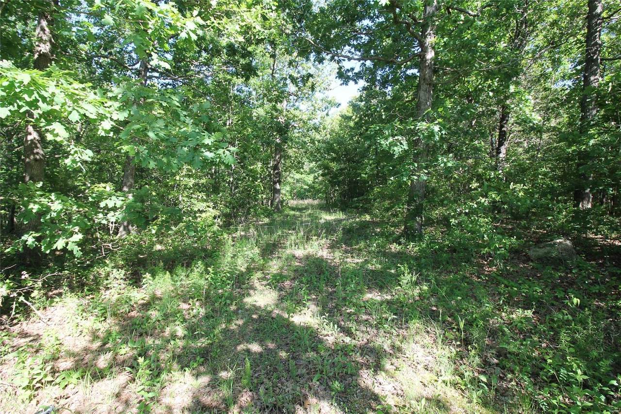 15970 Top Drive - Photo 1