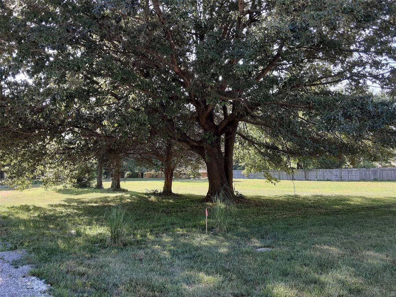 0 Parrish Lane - Photo 1