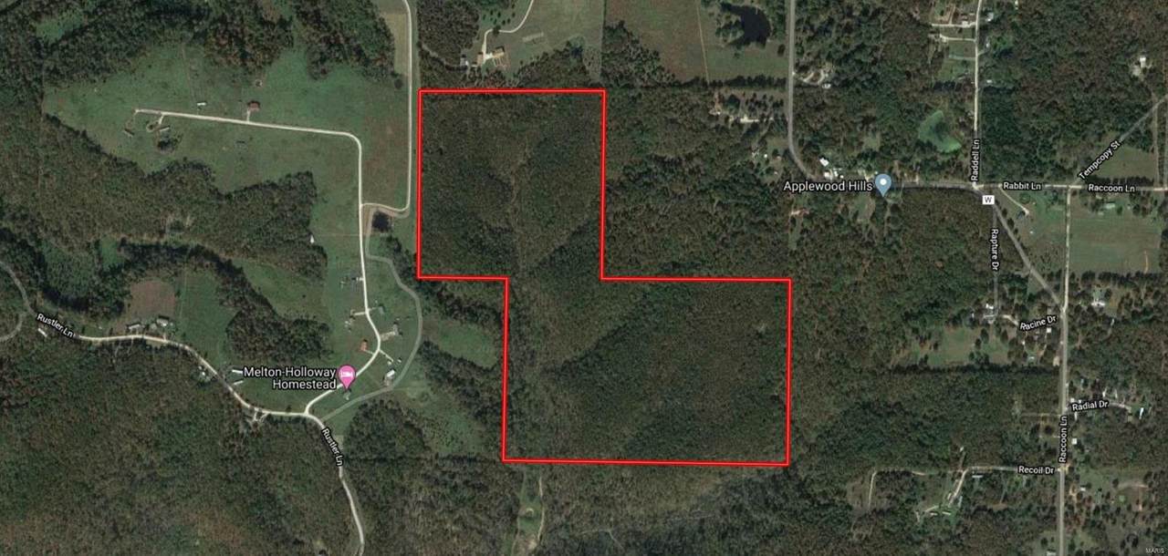 123 Rascal Dr. - Photo 1