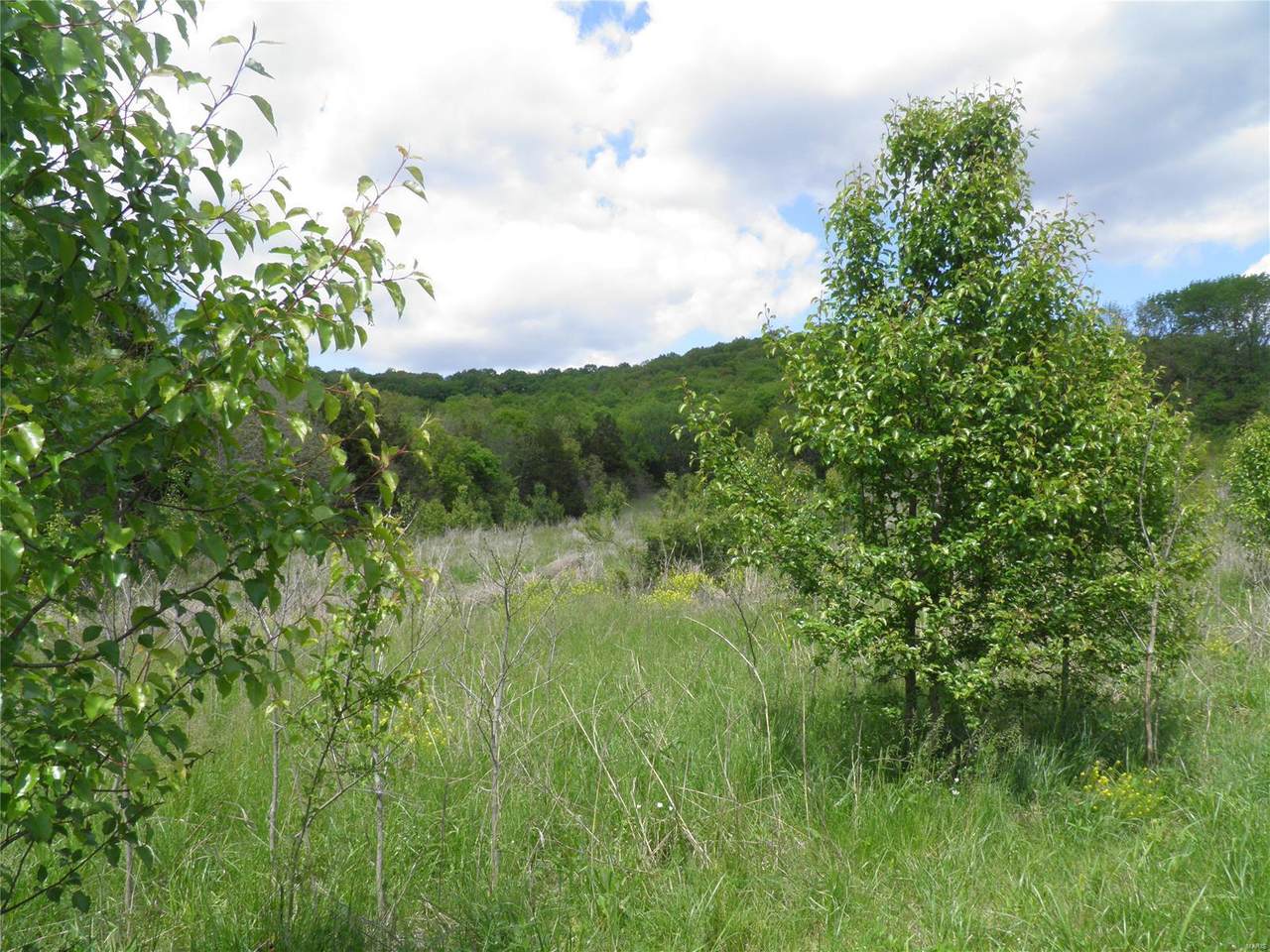 0 Lot 5 Of Dry Fork Meadows - Photo 1