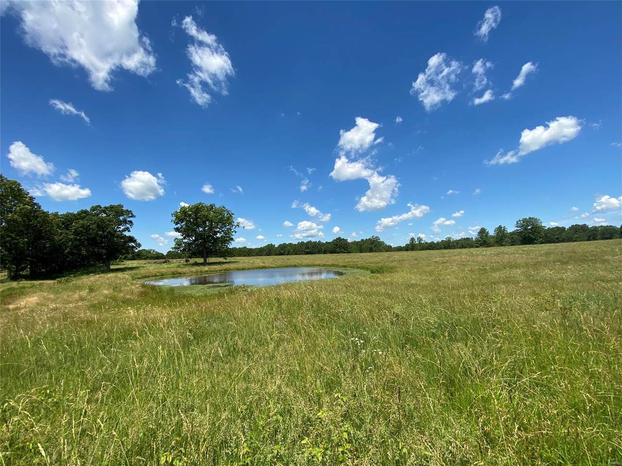 13995 Highway 38 - Photo 1