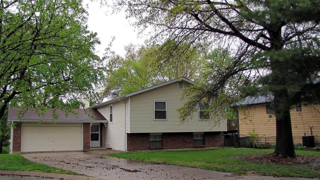 13 Steven Brent Court - Photo 1