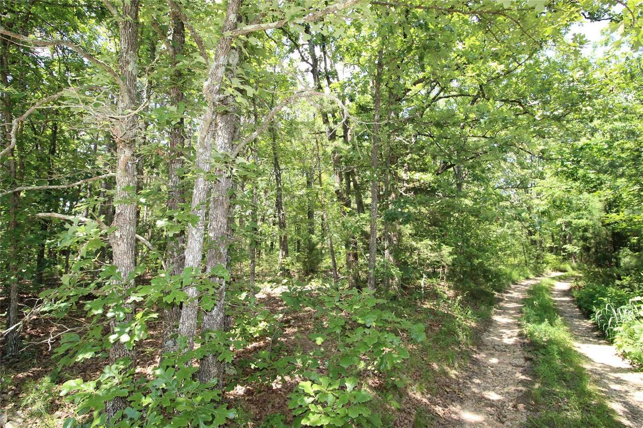 0 Antioch Road - Photo 1