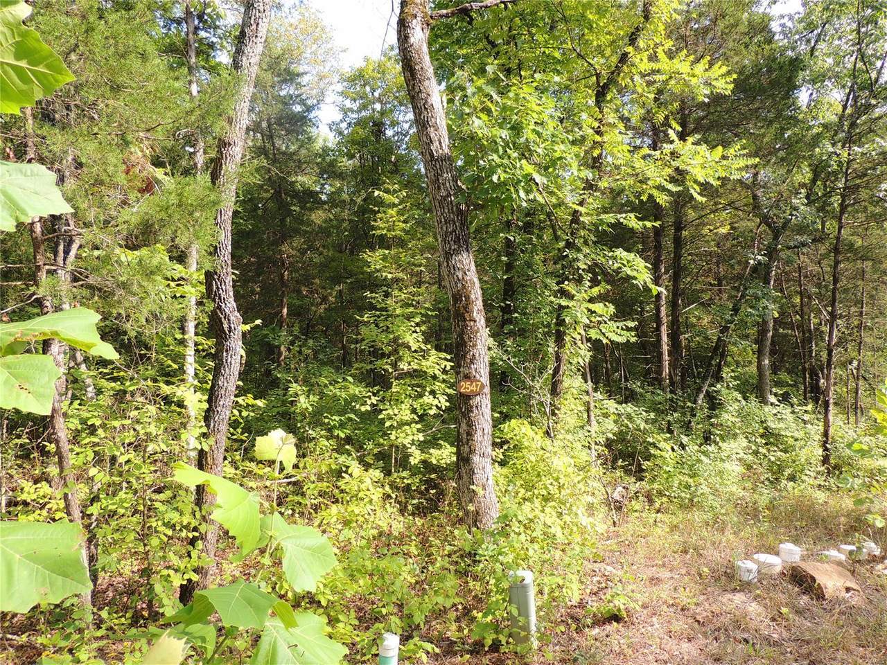 2547 Alpine Woods Drive - Photo 1