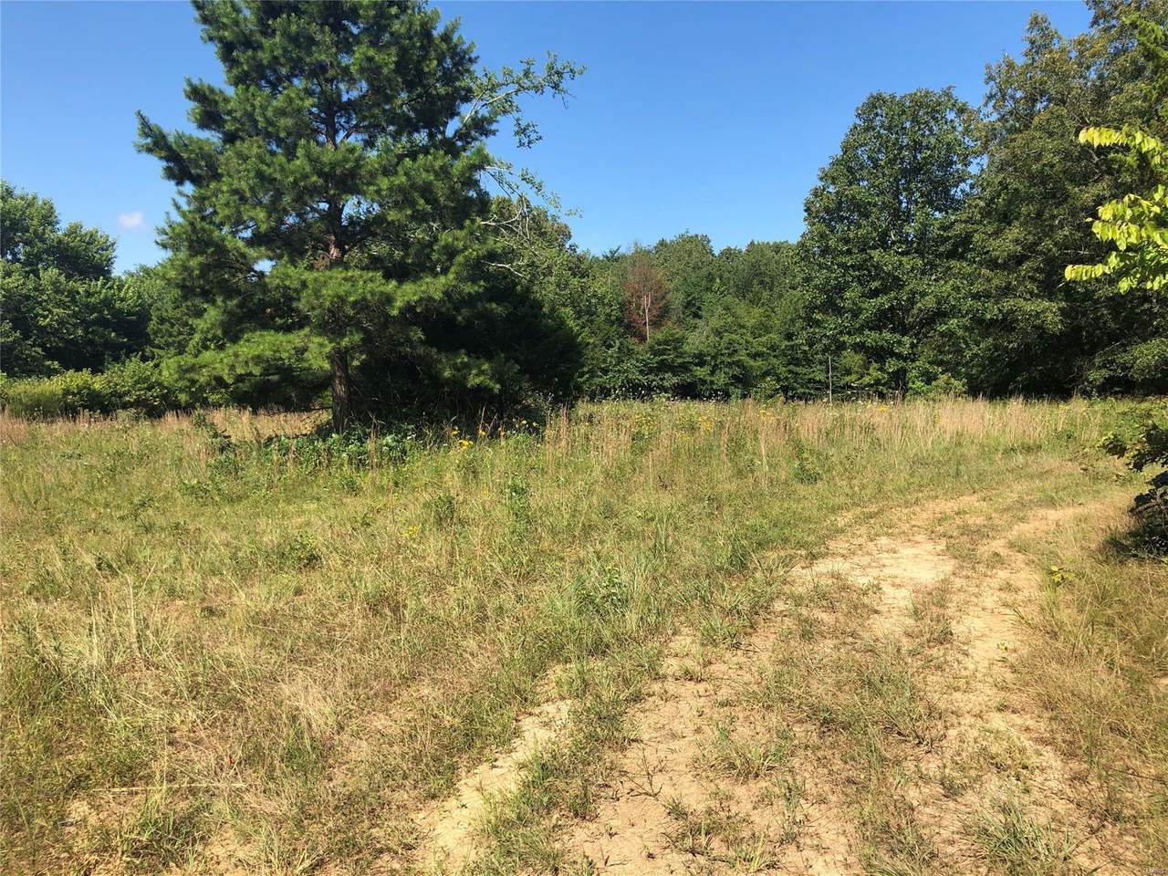 0 N & W Of County Road 467 - Photo 1