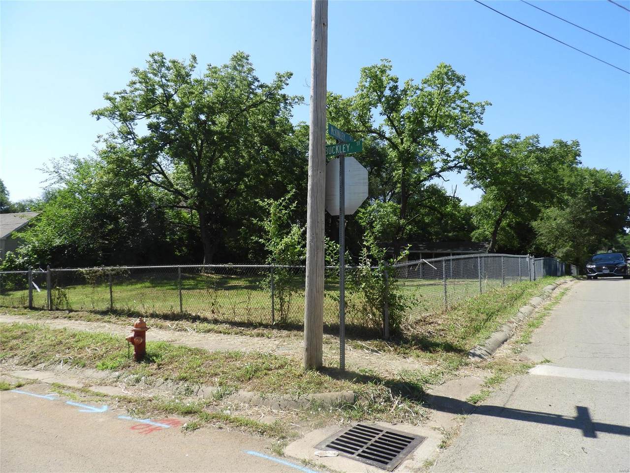 113 Buckley Street - Photo 1