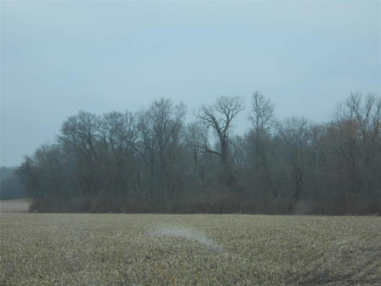 5 A Mccoy - Photo 1