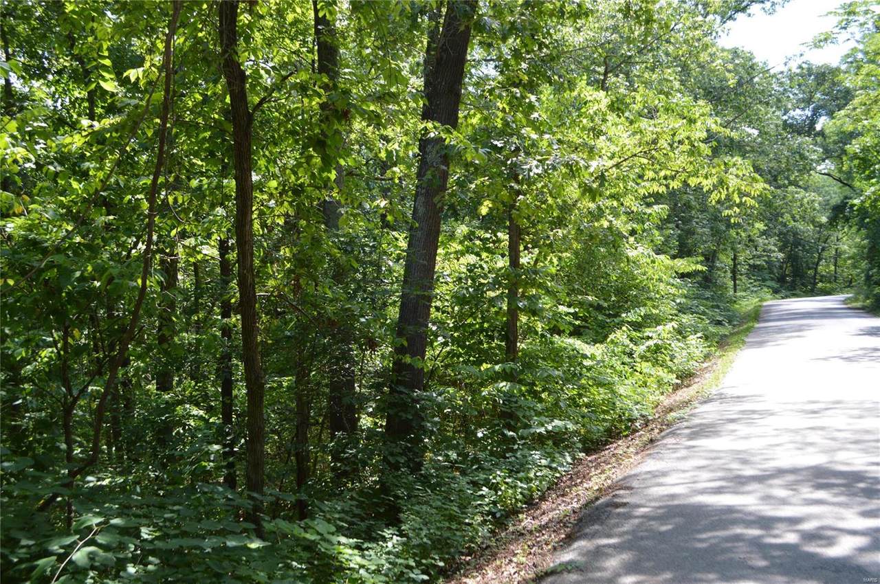 1466 Wilderness Acres - Photo 1