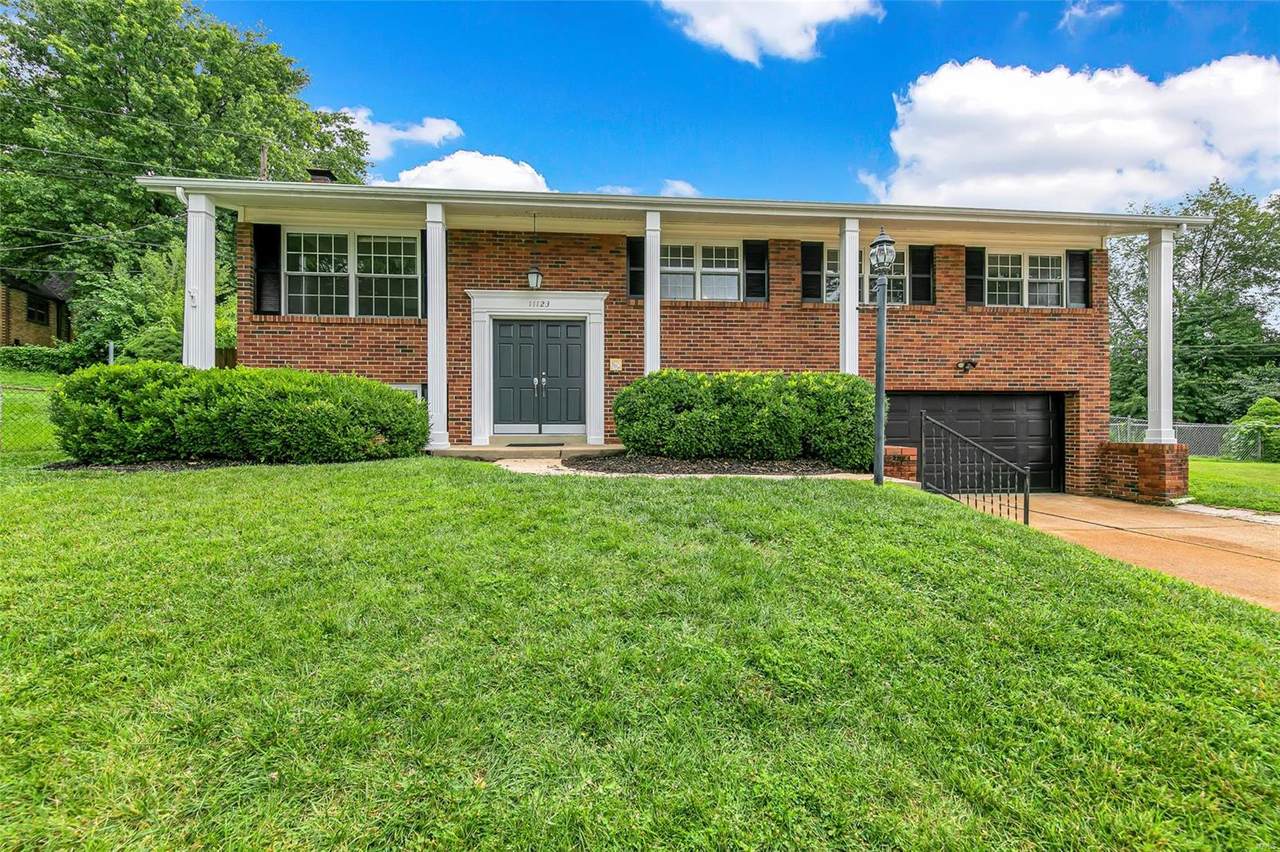 11123 Patrina Court - Photo 1