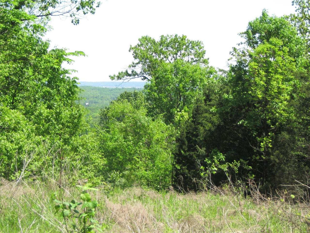 0 Meadow Dr. (89 Acres) - Photo 1
