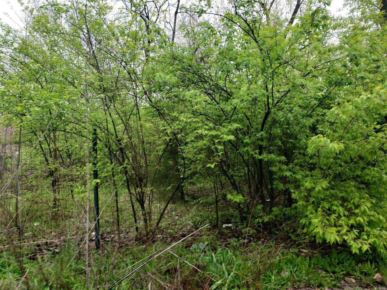4000 Crest - Photo 1