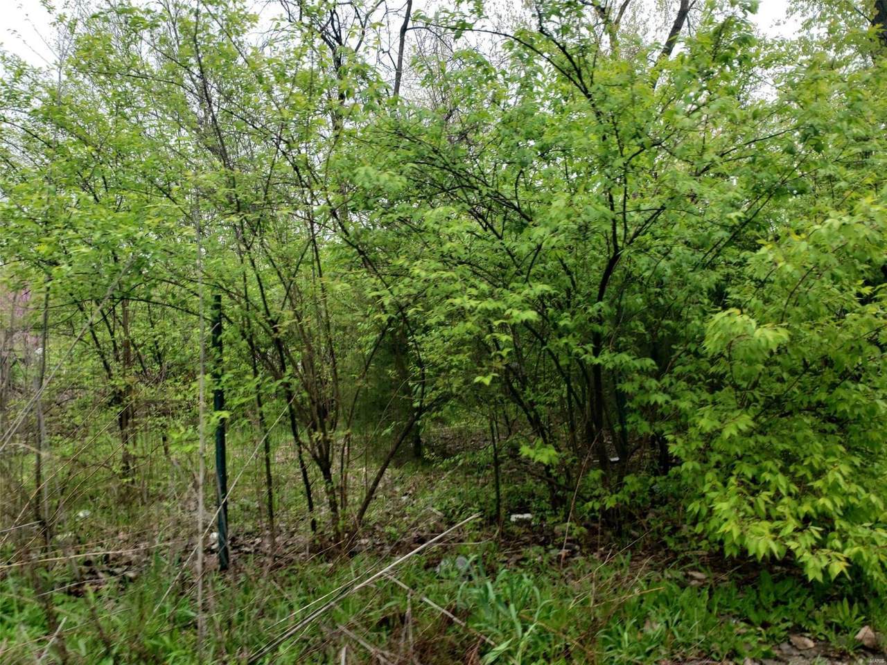 5728 Grizzley Drive - Photo 1