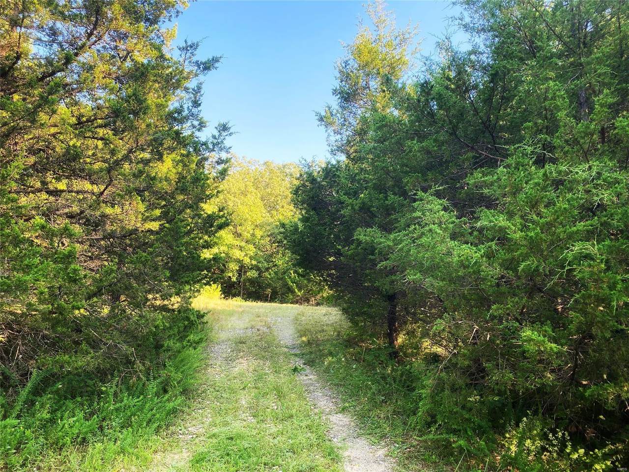 0 Evergreen Meadows Court - Photo 1