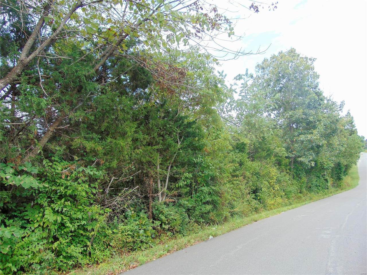 12831 County Road 7130 - Photo 1