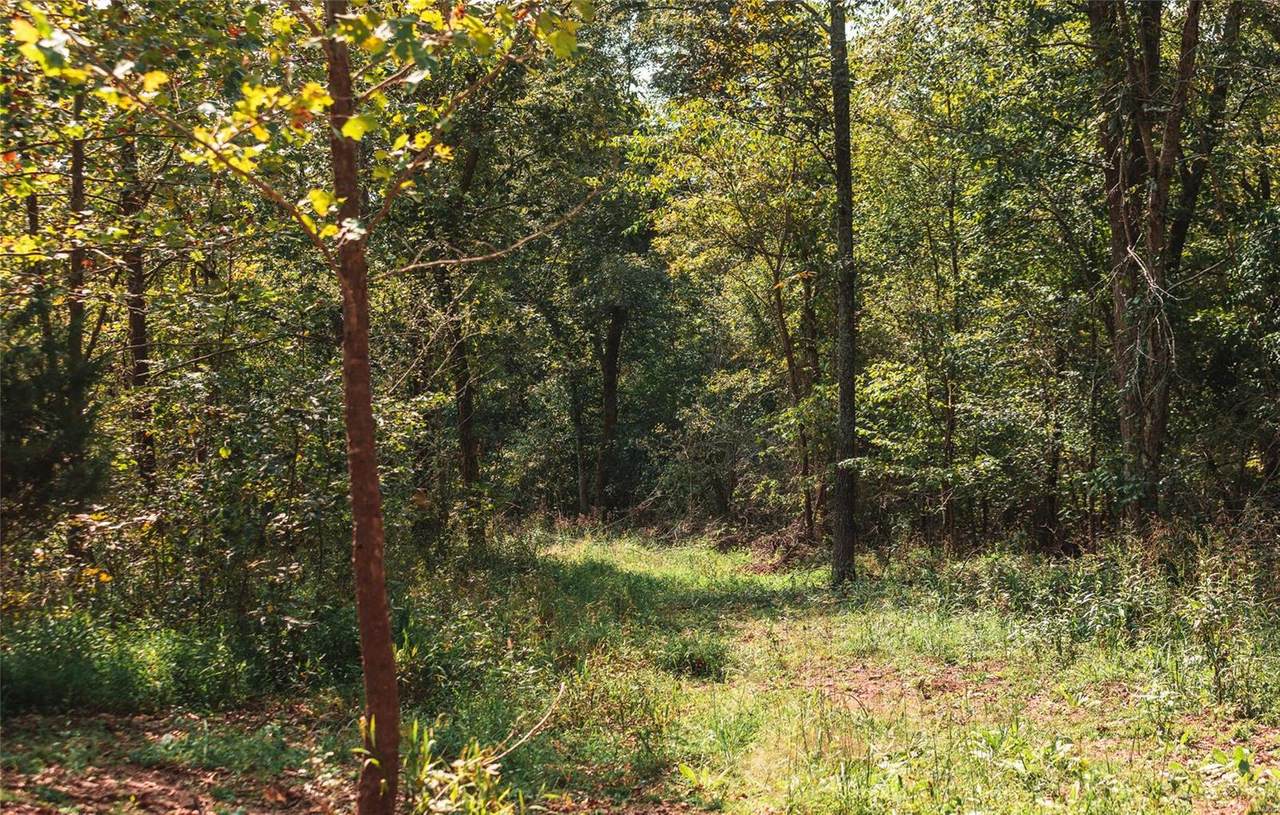 0 Box 6805 - Photo 1