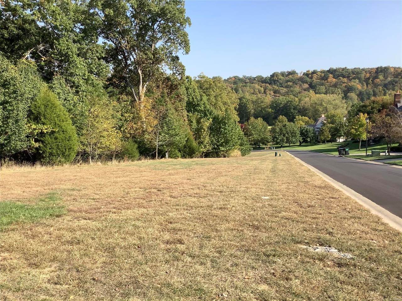 625 Morel Court - Photo 1