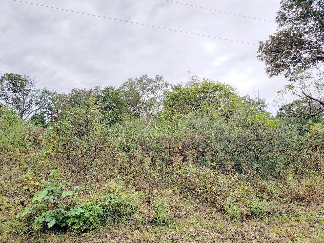 14109 Laguna Palma Road - Photo 1
