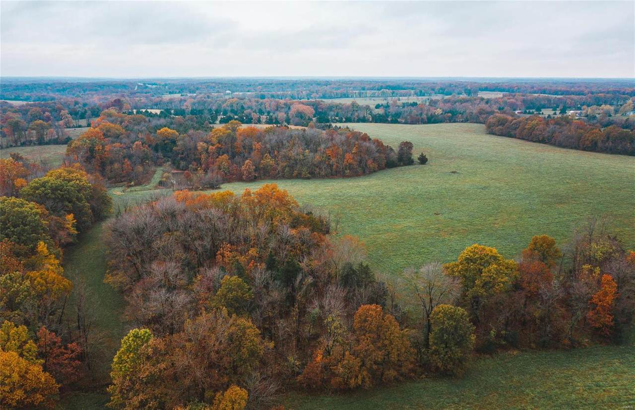 0 County Road 113 - Photo 1