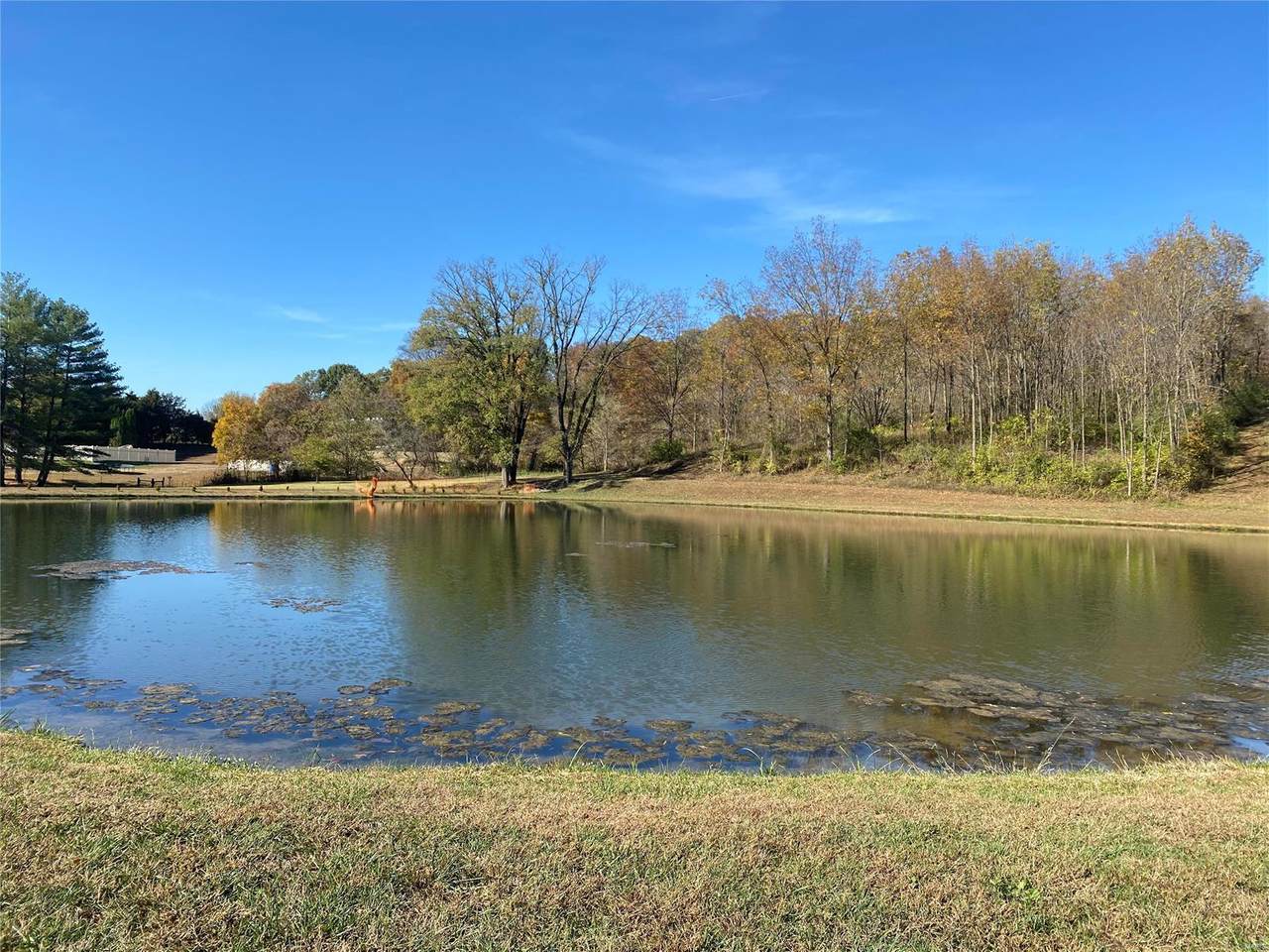 205 Logan Hollow - Photo 1