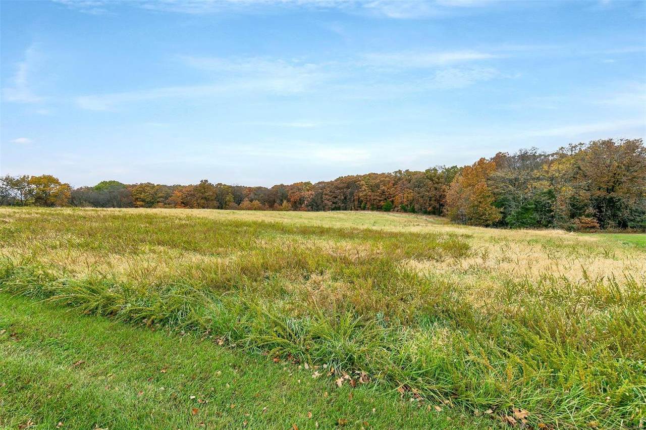 0 47.48+/- Acres Wildhorse Road - Photo 1