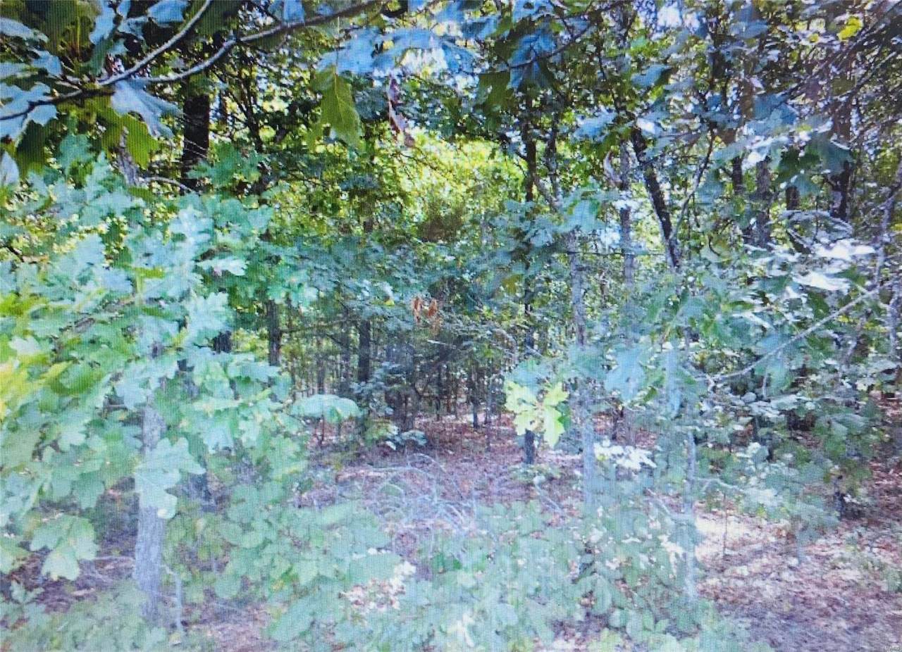 0 Tbd Dogwood Trail - Photo 1